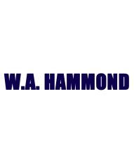 WA Hammond Drierite Desiccants Indicating 6 Mesh - 1 lb Glass Bottle 22005